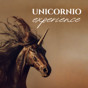 Reserva de plaza Unicorn Experience 2026